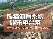 种植基地八