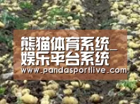 种植基地七