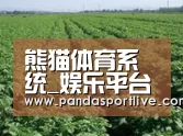种植基地五
