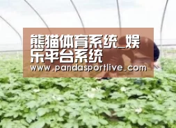 种植基地三