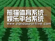种植基地六