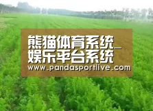 种植基地四
