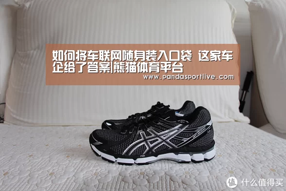 如何将车联网随身装入口袋 这家车企给了答案|熊猫体育平台(图2) 熊猫体育