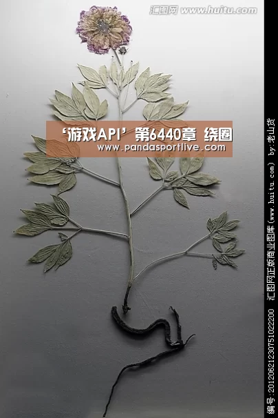 ‘游戏API’第6440章 绕圈(图2) 熊猫体育