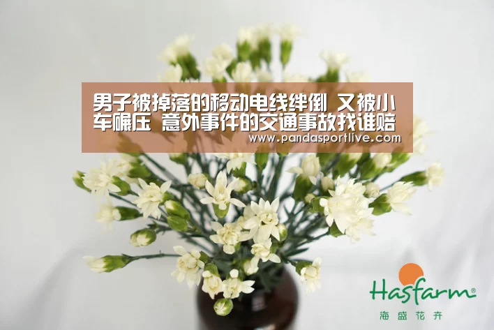 男子被掉落的移动电线绊倒 又被小车碾压 意外事件的交通事故找谁赔偿?‘熊猫体育平台’(图1) 熊猫体育平台