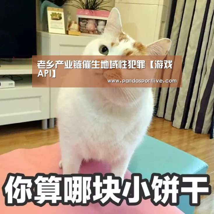 老乡产业链催生地域性犯罪【游戏API】(图2) 熊猫体育官网