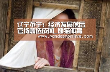 辽宁不宁:经济发展落后 官场贿选成风_熊猫体育(图2) 熊猫体育官网