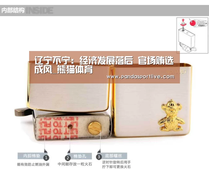 辽宁不宁:经济发展落后 官场贿选成风_熊猫体育(图4) 熊猫体育平台