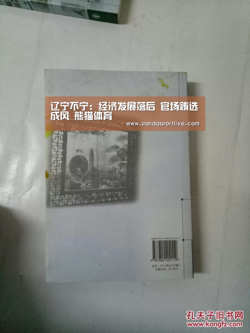 辽宁不宁:经济发展落后 官场贿选成风_熊猫体育(图3) 熊猫体育官网