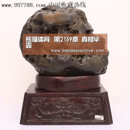 熊猫体育-第2159章 真相毕露(图1) 熊猫体育