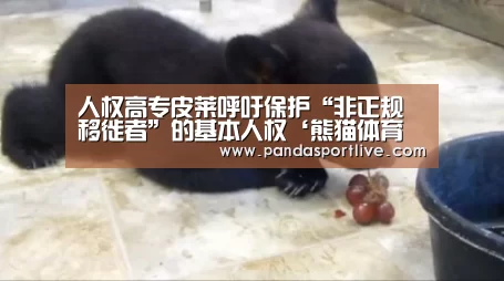 人权高专皮莱呼吁保护“非正规移徙者”的基本人权‘熊猫体育官网’(图1) 熊猫体育