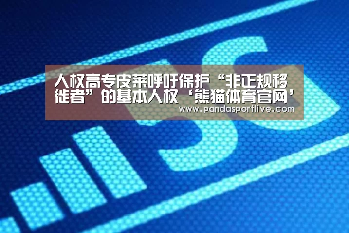 人权高专皮莱呼吁保护“非正规移徙者”的基本人权‘熊猫体育官网’(图2) 熊猫体育官网