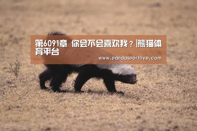 第6091章 你会不会喜欢我?|熊猫体育平台(图4) 熊猫体育平台